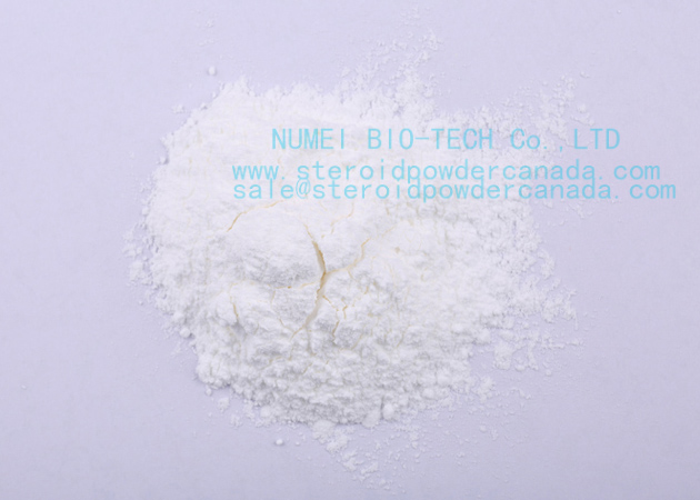 17a-Methyl-1-testosterone Powder